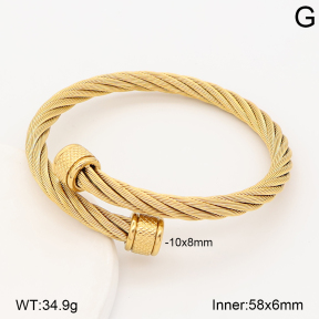 2BA202871vbnl-387  Stainless Steel Bangle