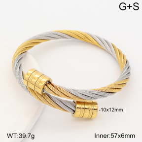 2BA202873abol-387  Stainless Steel Bangle