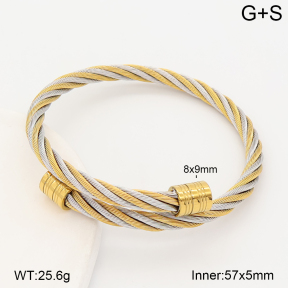 2BA202876abol-387  Stainless Steel Bangle