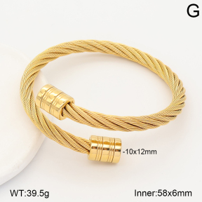 2BA202878vbnl-387  Stainless Steel Bangle