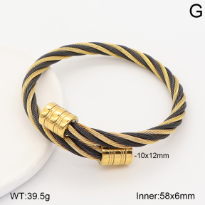 2BA202879vbpb-387  Stainless Steel Bangle