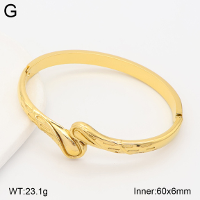 2BA202880bhia-434  Stainless Steel Bangle