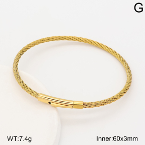 2BA202882bhva-775  Stainless Steel Bangle