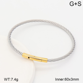 2BA202883vbpb-775  Stainless Steel Bangle