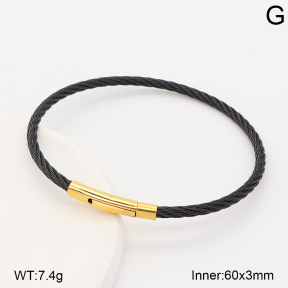 2BA202884bhva-775  Stainless Steel Bangle
