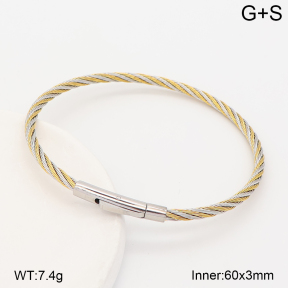2BA202885bhva-775  Stainless Steel Bangle