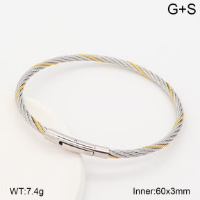 2BA202886bhva-775  Stainless Steel Bangle