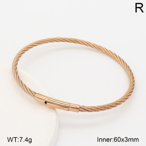 2BA202889bhva-775  Stainless Steel Bangle