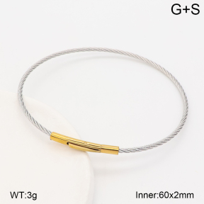 2BA202890vbnl-775  Stainless Steel Bangle
