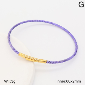 2BA202891vbnl-775  Stainless Steel Bangle