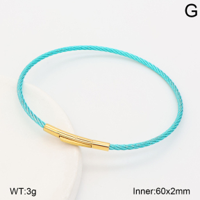 2BA202892vbnl-775  Stainless Steel Bangle