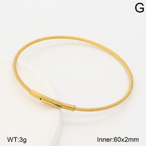 2BA202893vbnl-775  Stainless Steel Bangle