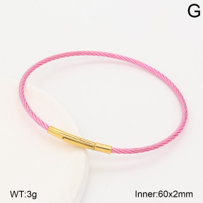 2BA202894vbnl-775  Stainless Steel Bangle