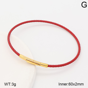 2BA202895vbnl-775  Stainless Steel Bangle