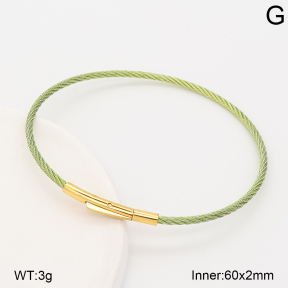 2BA202896vbnl-775  Stainless Steel Bangle