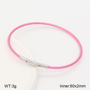 2BA202897vbnb-775  Stainless Steel Bangle