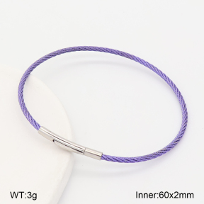 2BA202898vbnb-775  Stainless Steel Bangle