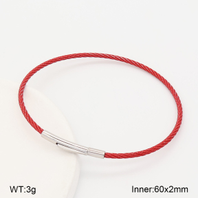 2BA202899vbnb-775  Stainless Steel Bangle