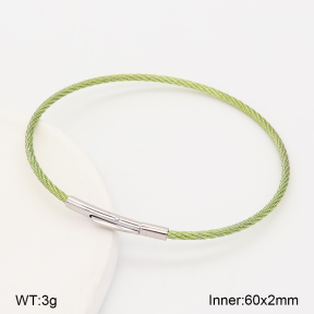 2BA202900vbnb-775  Stainless Steel Bangle