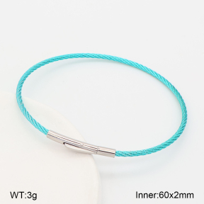 2BA202901vbnb-775  Stainless Steel Bangle