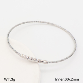 2BA202903vbnb-775  Stainless Steel Bangle