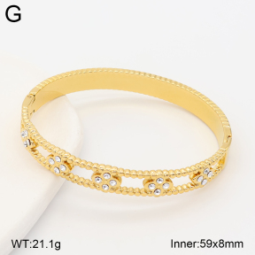 2BA403095vhhl-434  Stainless Steel Bangle