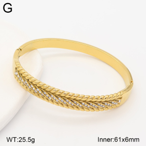 2BA403098bhil-434  Stainless Steel Bangle