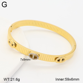 2BA403101bhbl-434  Stainless Steel Bangle