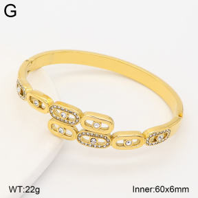 2BA403103bhil-434  Stainless Steel Bangle