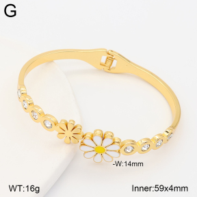 2BA403104bvpl-434  Stainless Steel Bangle