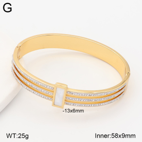 2BA403105bvpl-434  Stainless Steel Bangle