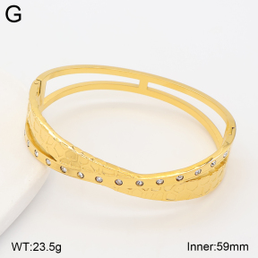 2BA403106vhhl-434  Stainless Steel Bangle