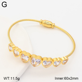 2BA403107vhha-434  Stainless Steel Bangle