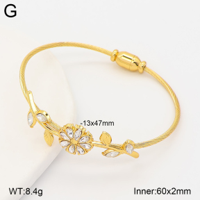 2BA403110vhha-434  Stainless Steel Bangle