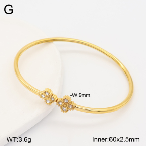 2BA403112vbnb-434  Stainless Steel Bangle