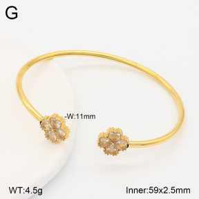2BA403115vbnb-434  Stainless Steel Bangle