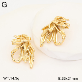 2E2007493vbmb-434  Stainless Steel Earrings
