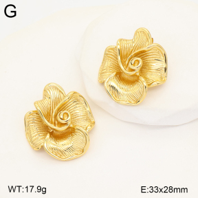 2E2007494vbmb-434  Stainless Steel Earrings