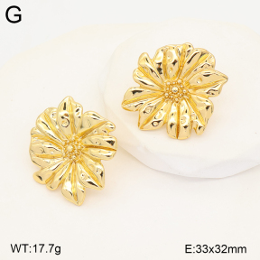 2E2007495vbmb-434  Stainless Steel Earrings