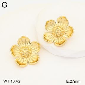 2E2007496vbmb-434  Stainless Steel Earrings