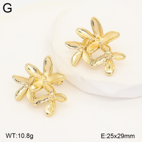 2E2007498vbmb-434  Stainless Steel Earrings