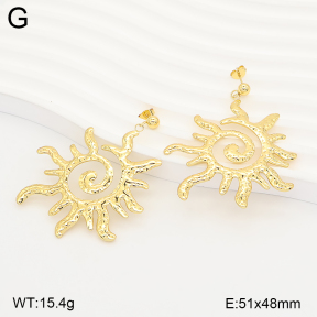 2E2007499aakl-434  Stainless Steel Earrings