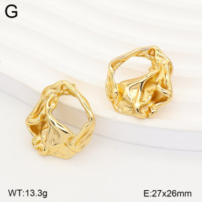 2E2007500vbmb-434  Stainless Steel Earrings
