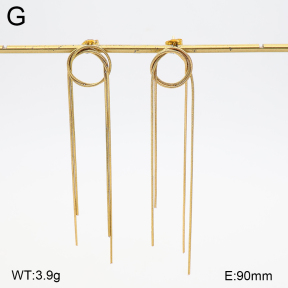 2E2007502bbml-434  Stainless Steel Earrings
