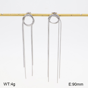 2E2007503vbmb-434  Stainless Steel Earrings