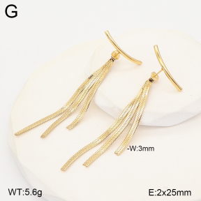 2E2007504vbmb-434  Stainless Steel Earrings