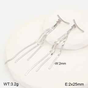 2E2007505vbll-434  Stainless Steel Earrings