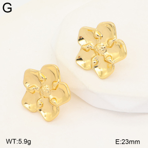 2E2007507avja-434  Stainless Steel Earrings