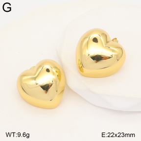 2E2007508avja-434  Stainless Steel Earrings