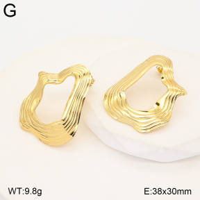 2E2007509aajl-434  Stainless Steel Earrings